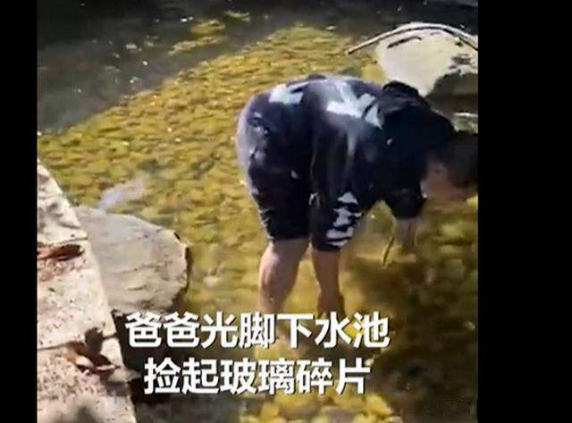 傳送帶廠家：榜樣！爸爸赤腳下水撈寶寶扔的玻璃渣